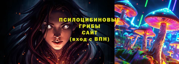 бошки Алзамай
