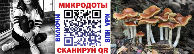 Галлюциногенные грибы MAGIC MUSHROOMS  цена наркотик  Белореченск 